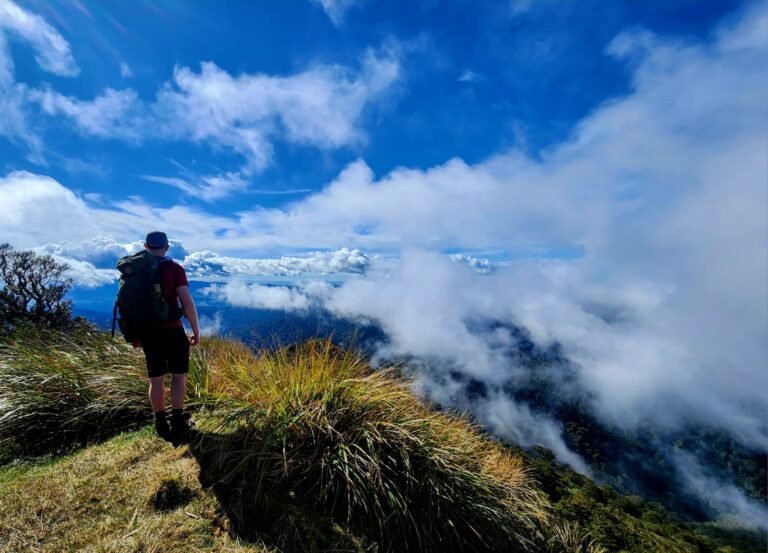 View from the Te Aroha summit — one of Auckland's best day walks (even though its in Waikato) and part of our EBC training programme