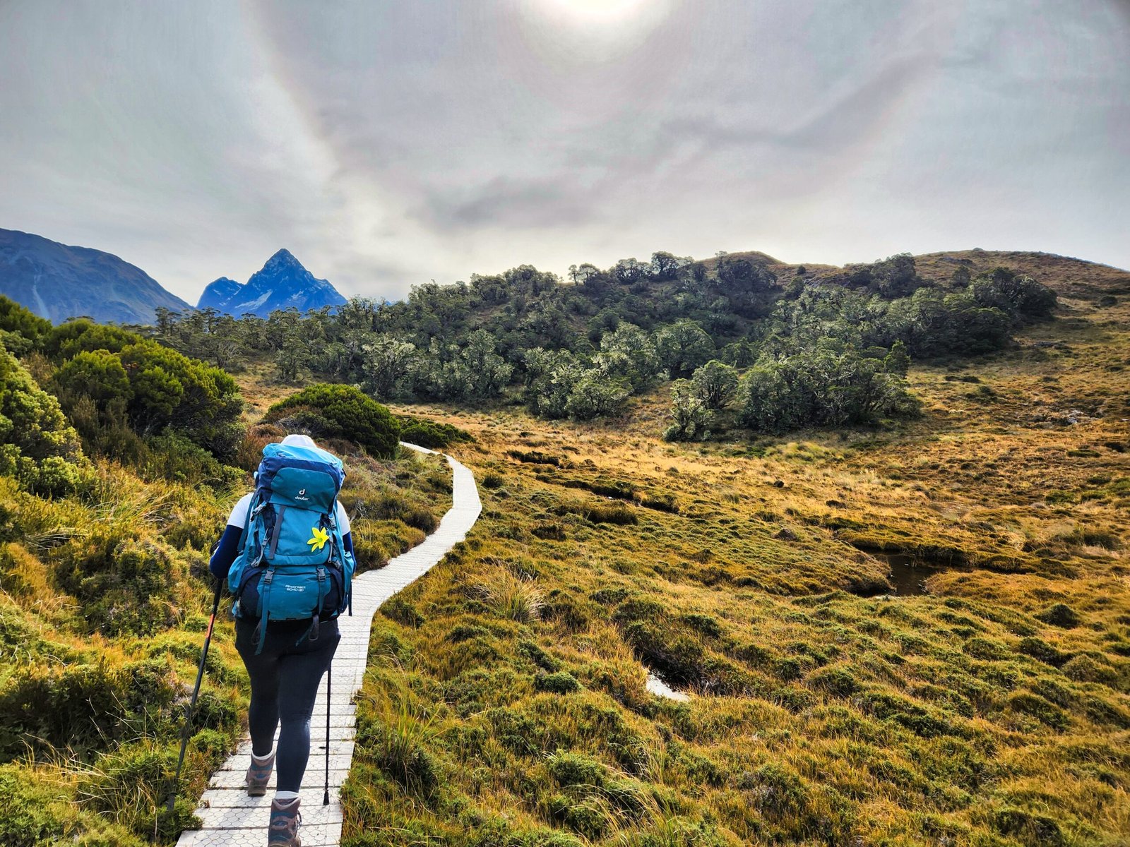 View from McKellar Saddle on the Greenstone-Caples Track — looking back down the Caples Valley in Fiordland, New Zealand
