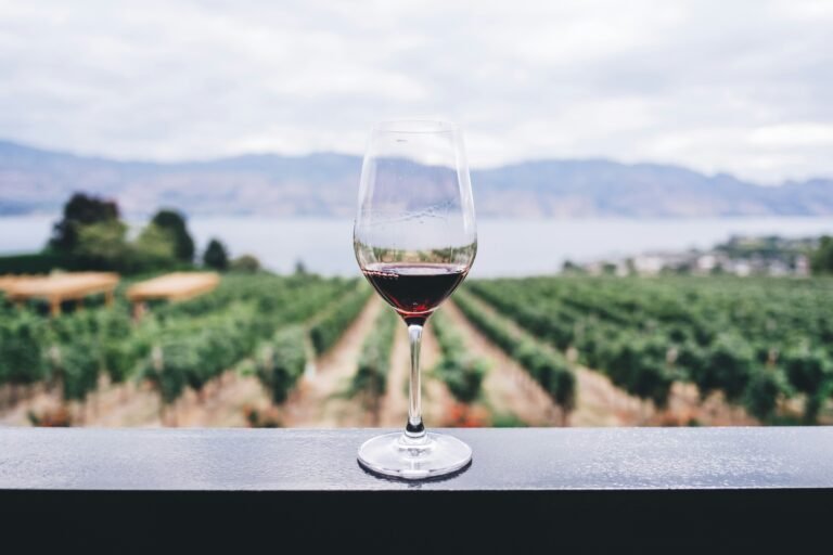 Kelowna and the Okanagan Valley — Canada’s Wine Country at the End of the Road