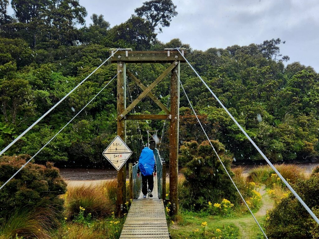 Swing bridge on the Rakiura Track on Stewart Island — New Zealand's most southerly Great Walk through southern bush and coastal forest